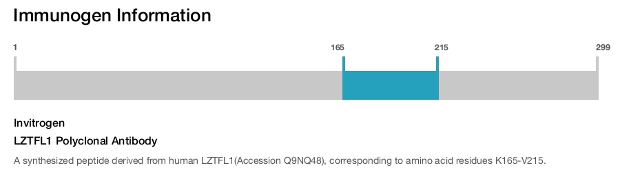LZTFL1 Polyclonal Antibody
