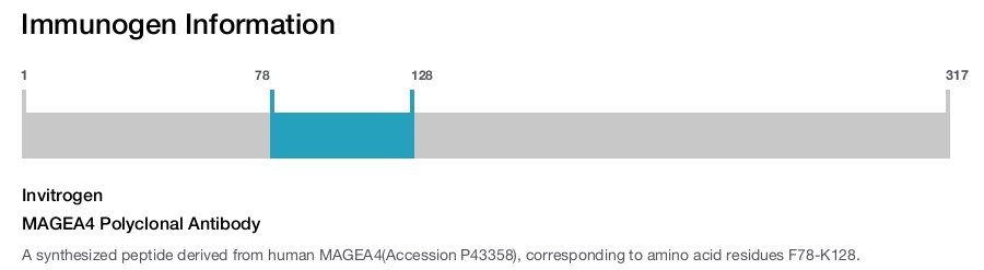 MAGEA4 Polyclonal Antibody