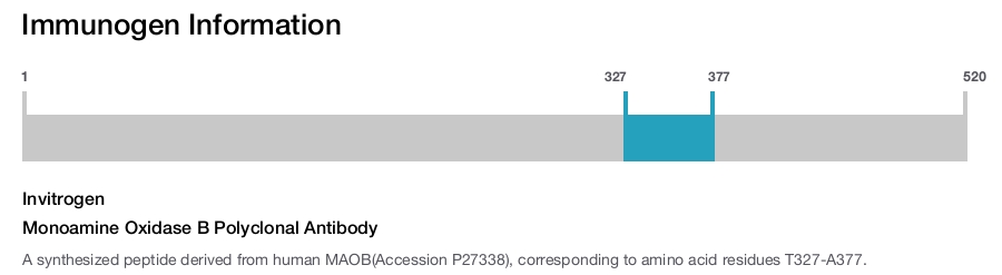 Monoamine Oxidase B Polyclonal Antibody