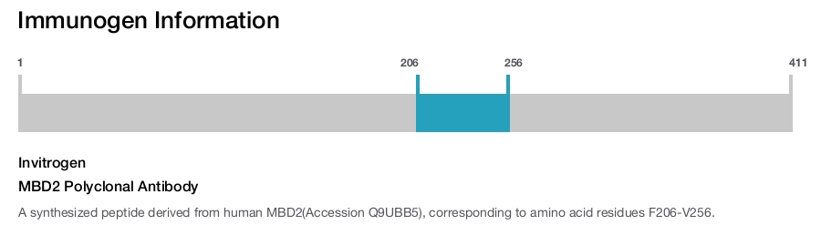 MBD2 Polyclonal Antibody