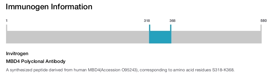 MBD4 Polyclonal Antibody