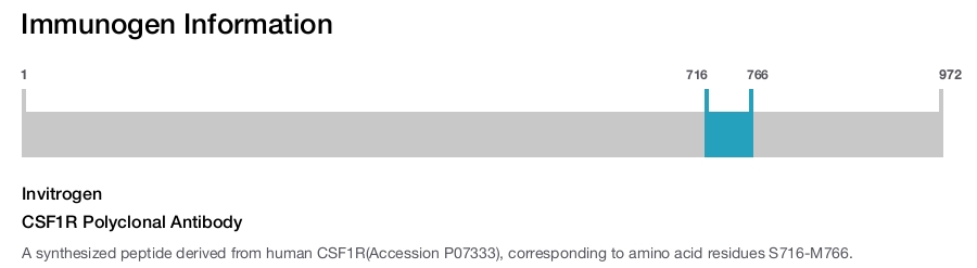 CSF1R Polyclonal Antibody