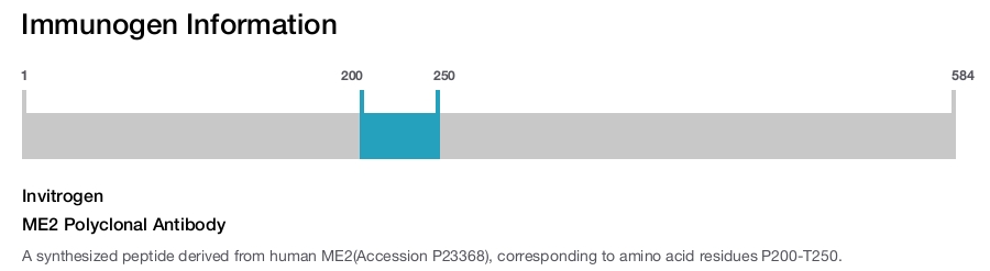 ME2 Polyclonal Antibody