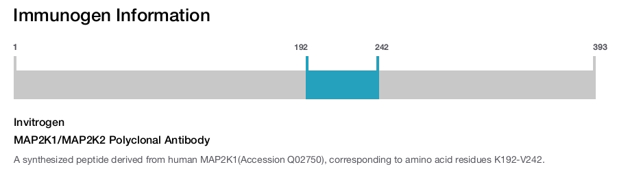 MAP2K1/MAP2K2 Polyclonal Antibody