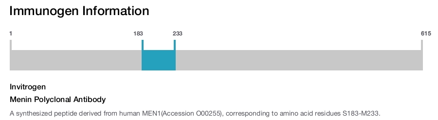 Menin Polyclonal Antibody