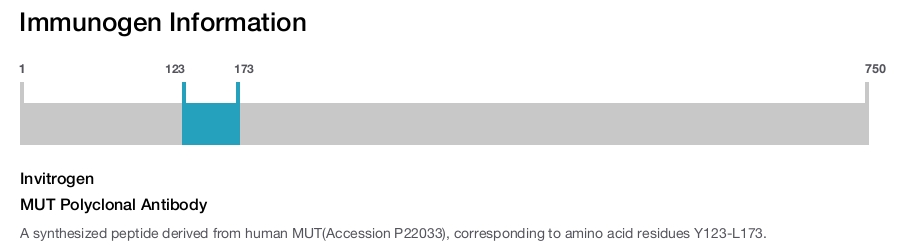 MUT Polyclonal Antibody