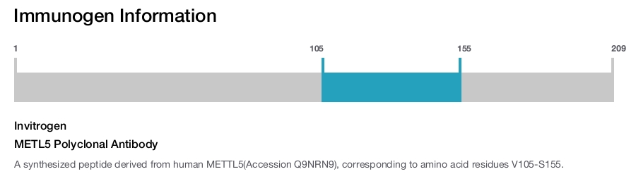 METL5 Polyclonal Antibody