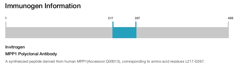 MPP1 Polyclonal Antibody