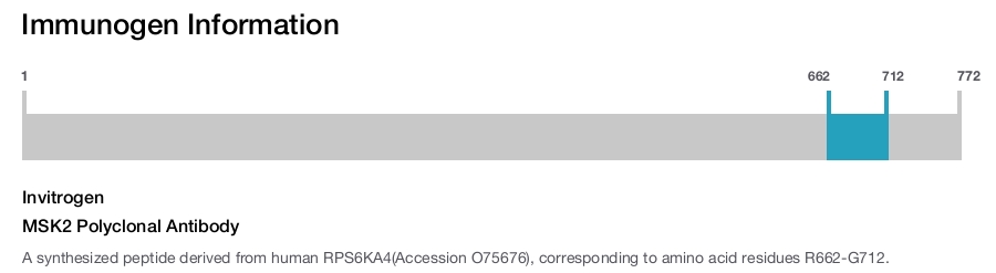 MSK2 Polyclonal Antibody