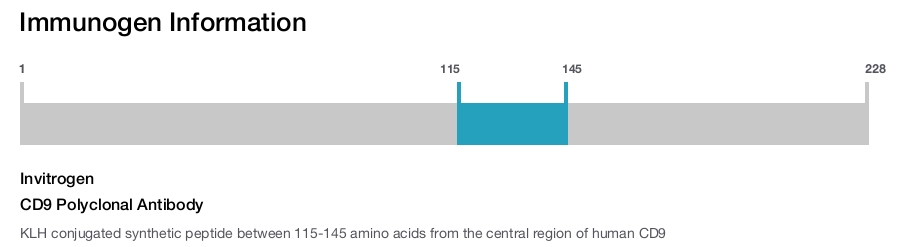 CD9 Polyclonal Antibody