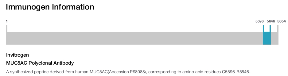 MUC5AC Polyclonal Antibody