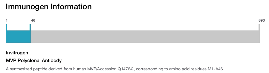 MVP Polyclonal Antibody