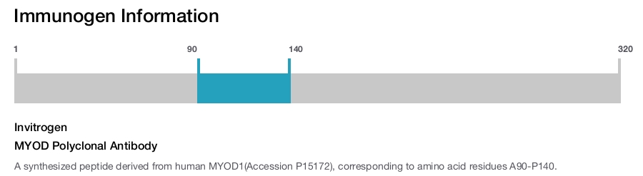 MYOD Polyclonal Antibody