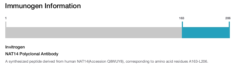 NAT14 Polyclonal Antibody