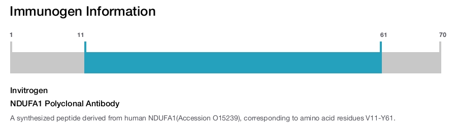 NDUFA1 Polyclonal Antibody