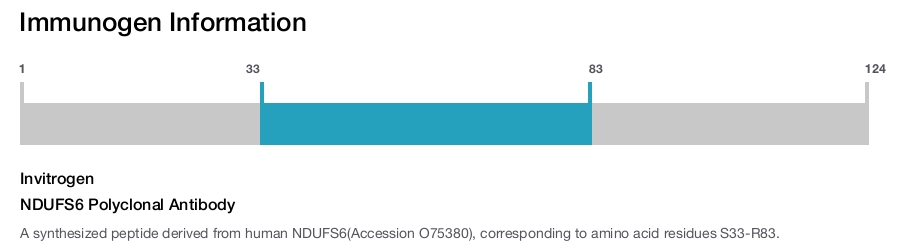 NDUFS6 Polyclonal Antibody