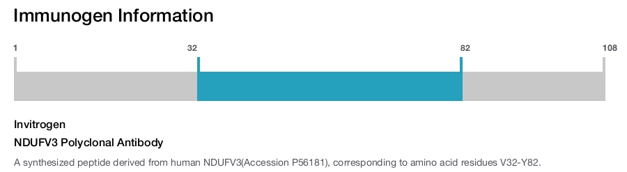 NDUFV3 Polyclonal Antibody