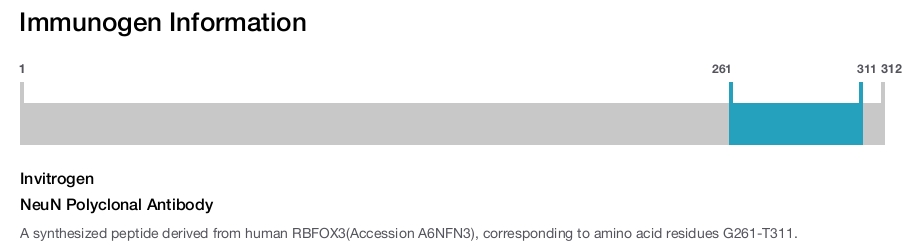 NeuN Polyclonal Antibody