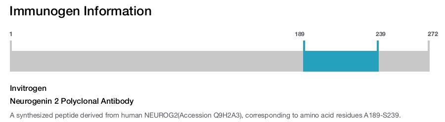 Neurogenin 2 Polyclonal Antibody