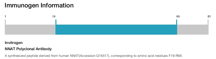 NNAT Polyclonal Antibody