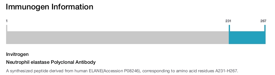 Neutrophil elastase Polyclonal Antibody