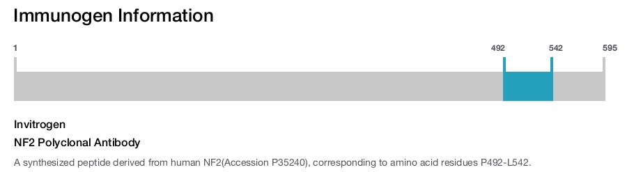 NF2 Polyclonal Antibody