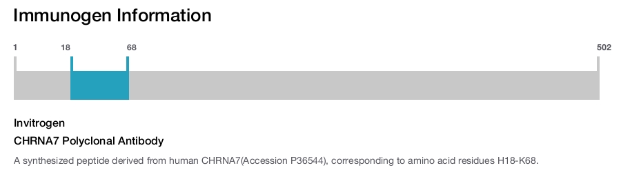 CHRNA7 Polyclonal Antibody