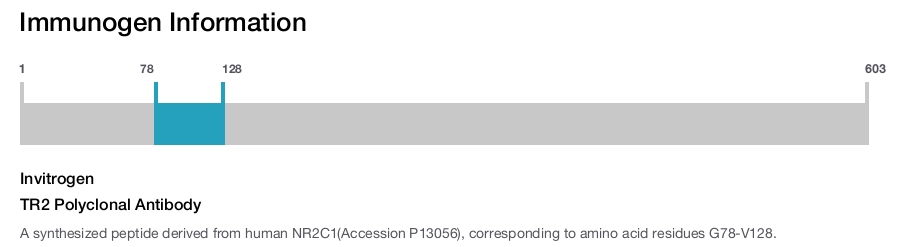 TR2 Polyclonal Antibody