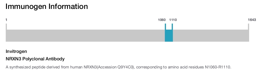 NRXN3 Polyclonal Antibody