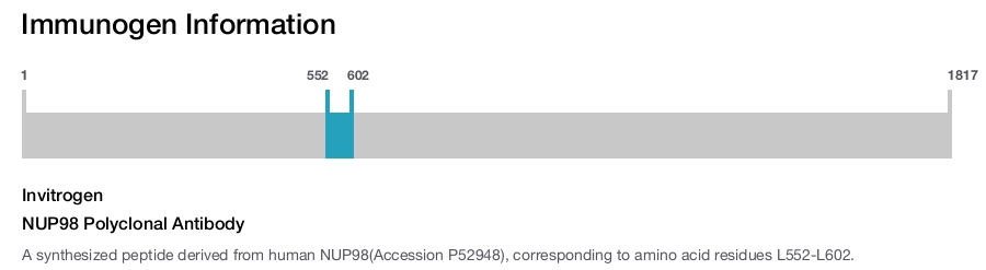NUP98 Polyclonal Antibody