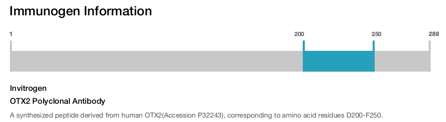 OTX2 Polyclonal Antibody