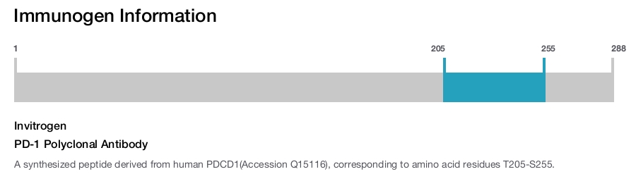 PD-1 Polyclonal Antibody