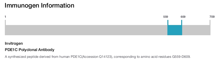 PDE1C Polyclonal Antibody