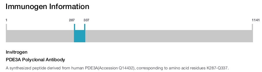 PDE3A Polyclonal Antibody