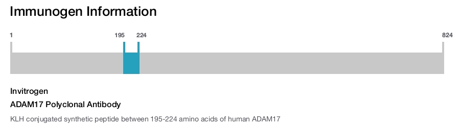 ADAM17 Polyclonal Antibody