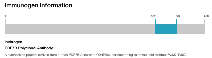 PDE7B Polyclonal Antibody