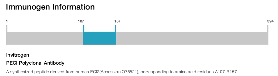 PECI Polyclonal Antibody