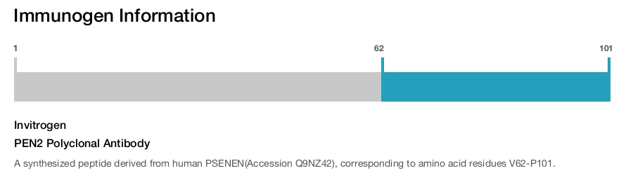 PEN2 Polyclonal Antibody