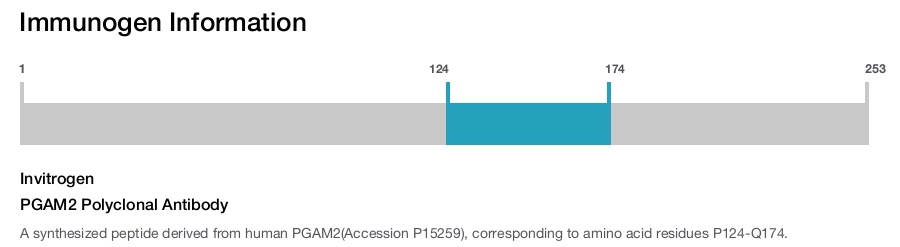 PGAM2 Polyclonal Antibody