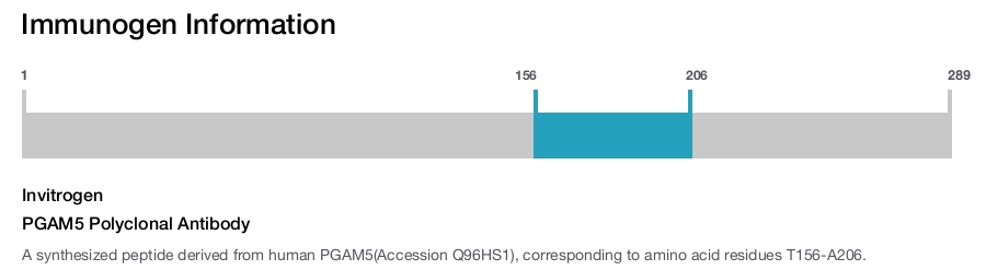 PGAM5 Polyclonal Antibody