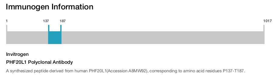 PHF20L1 Polyclonal Antibody