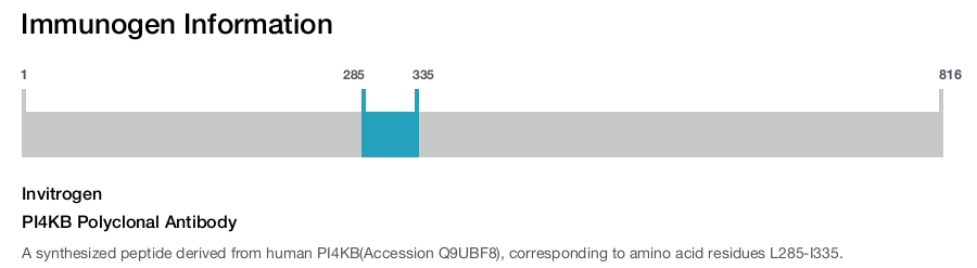 PI4KB Polyclonal Antibody