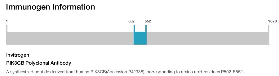 PIK3CB Polyclonal Antibody