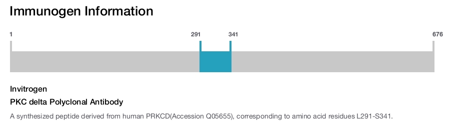 PKC delta Polyclonal Antibody