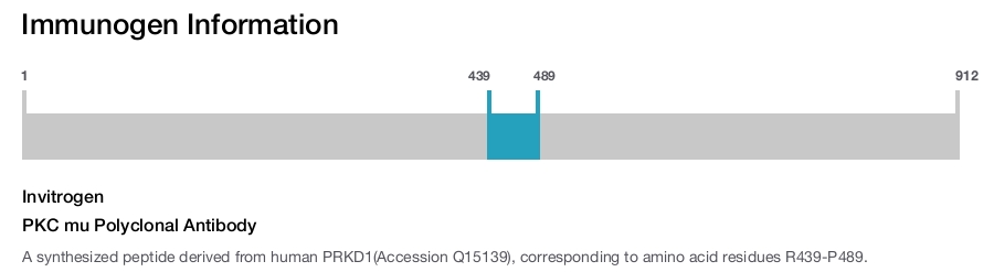 PKC mu Polyclonal Antibody