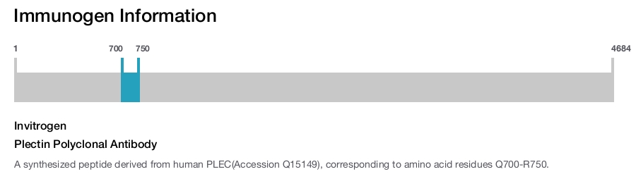 Plectin Polyclonal Antibody