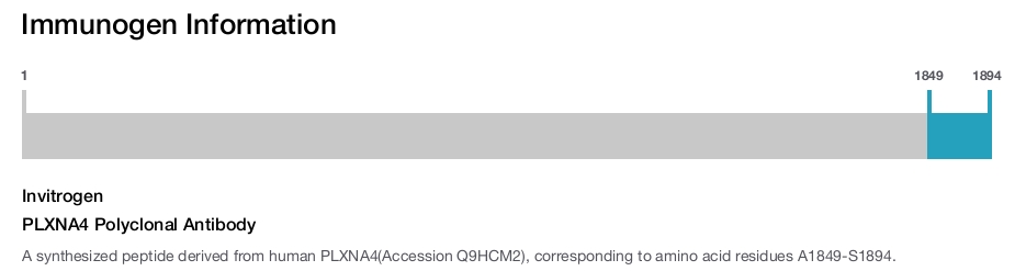 PLXNA4 Polyclonal Antibody