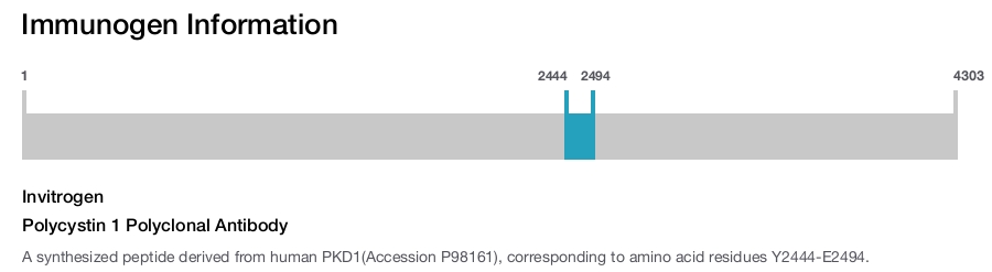 Polycystin 1 Polyclonal Antibody