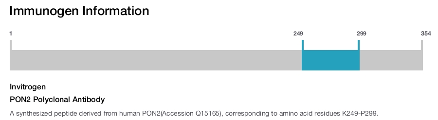 PON2 Polyclonal Antibody