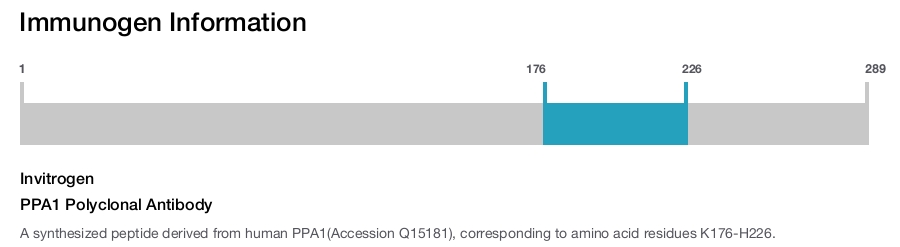 PPA1 Polyclonal Antibody